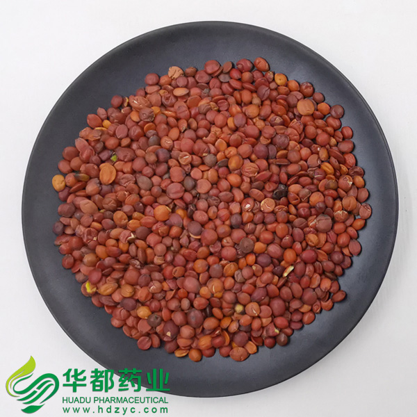 酸枣仁0
