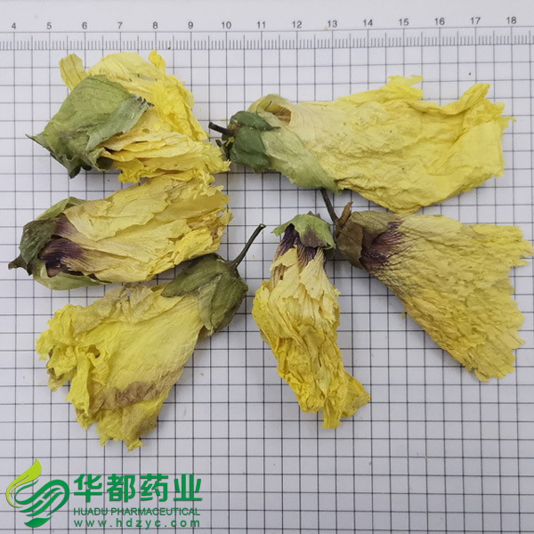 黄蜀葵花
