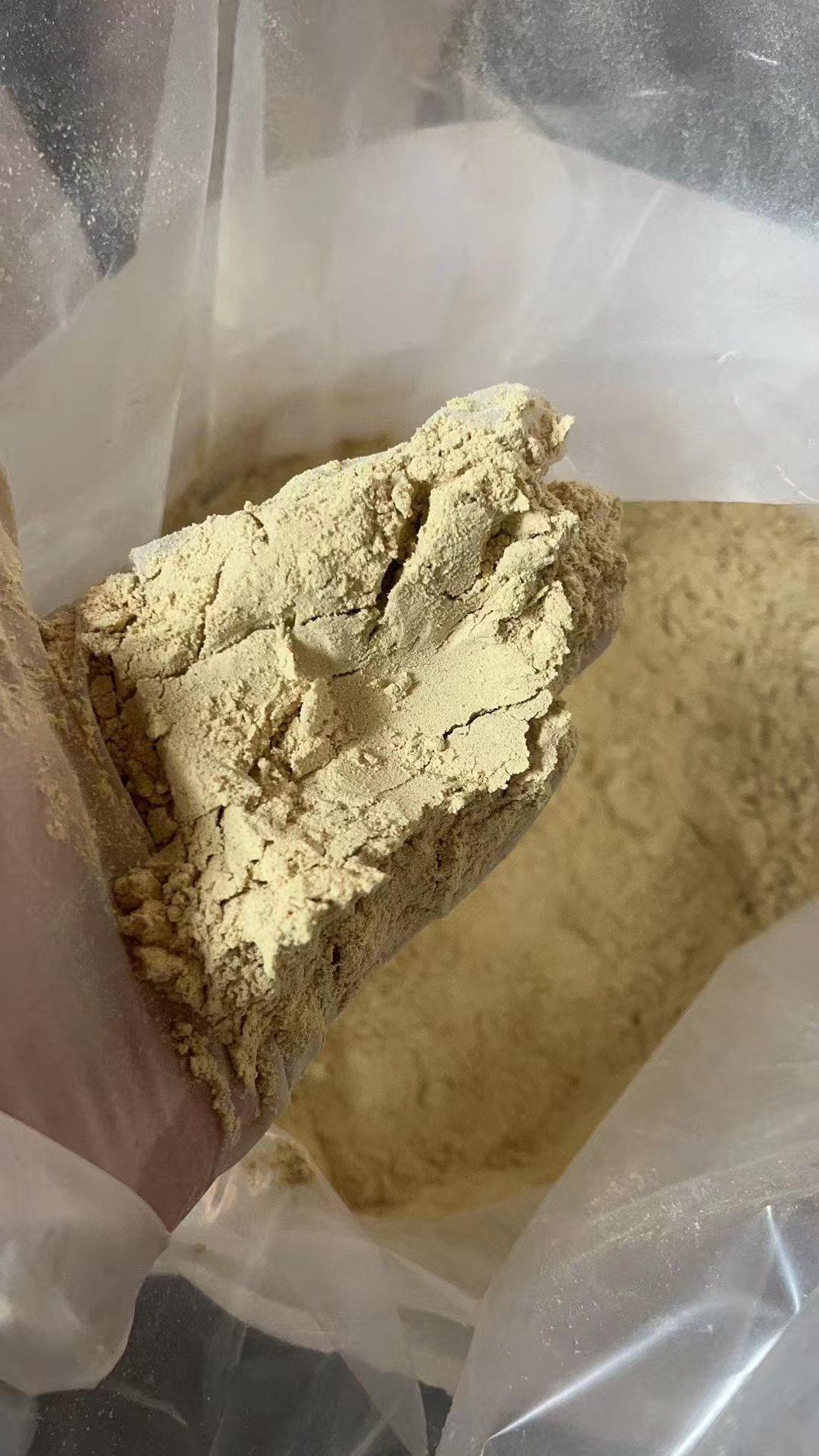 陈皮