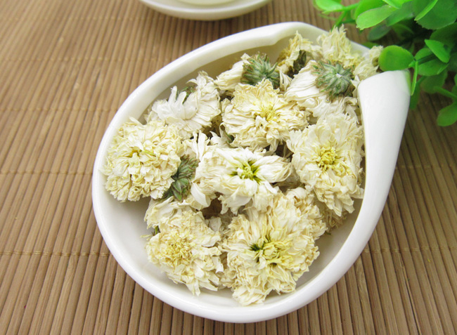 Chrysanthemum