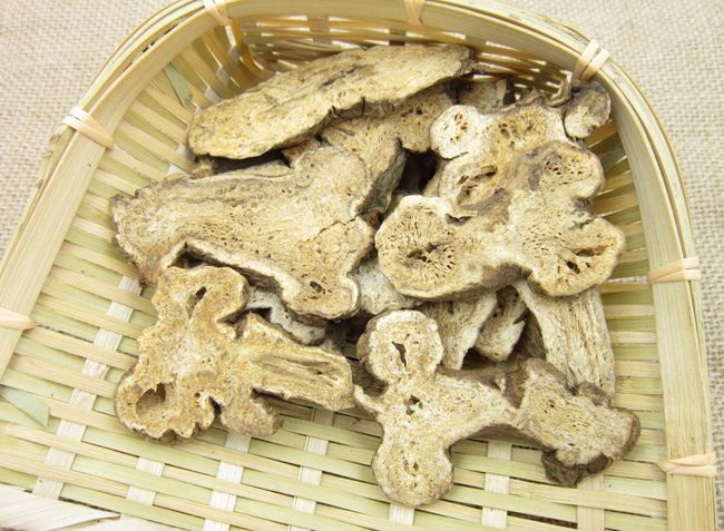 White atractylodes