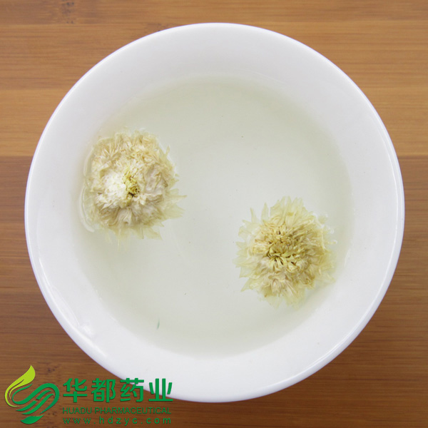 贡菊3