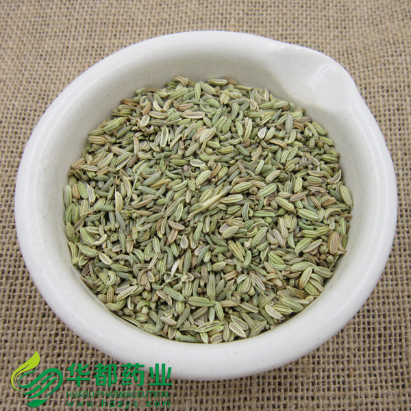 Fennel Fruit (2).jpg