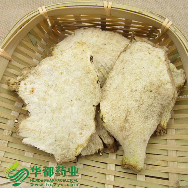 Spongy Dioscorea Root.jpg