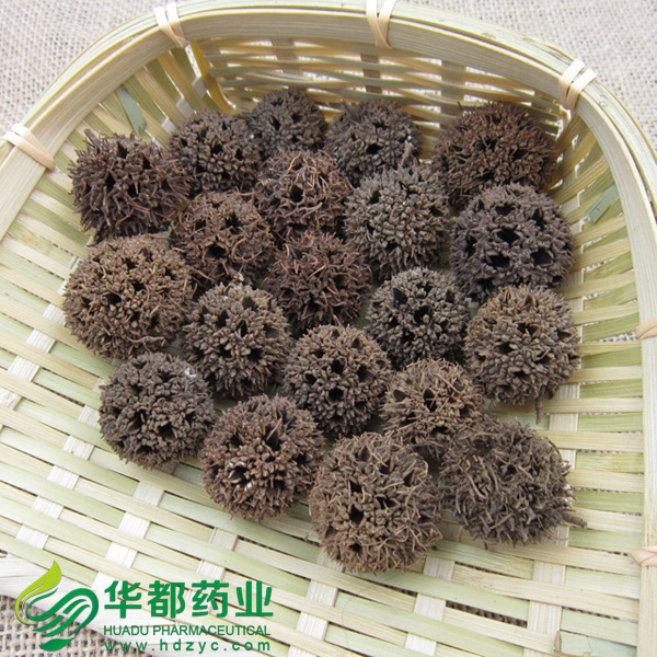 Sweetgum Fruit.jpg