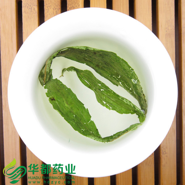 Sweet Stevia