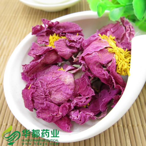 Peony Flower