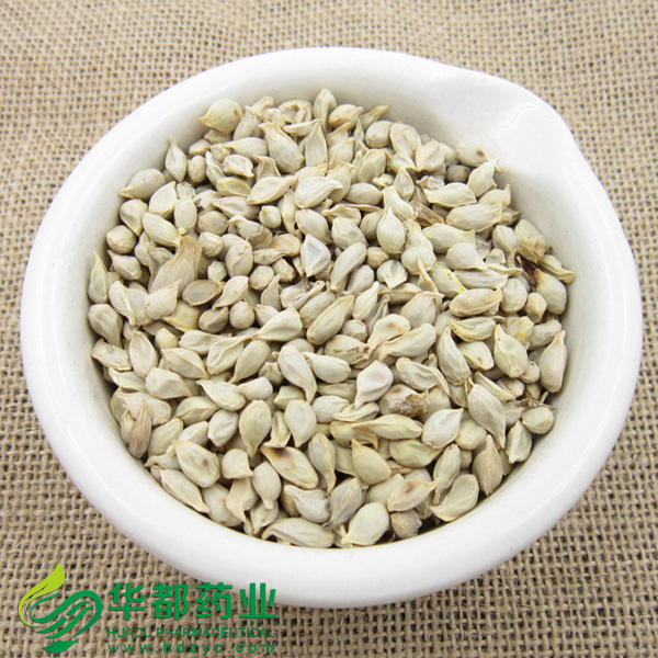 Chinese Tangerine Seed.jpg