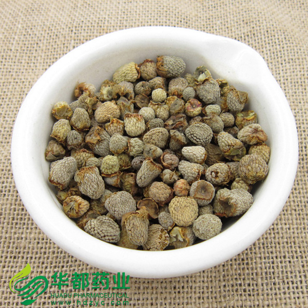Chinese Raspberry.jpg