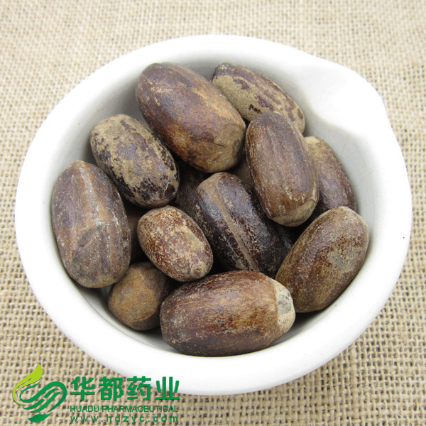 Rhizoma Chiuanxiong (2).jpg