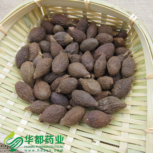 Boat - fruited Sterculia Seed.jpg
