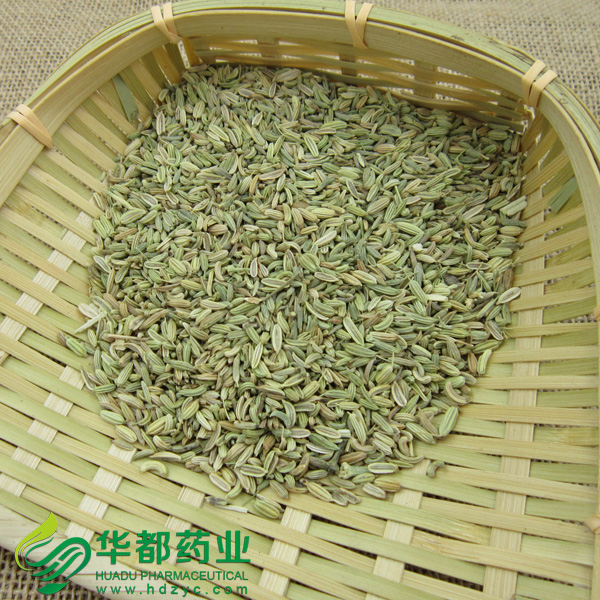Fennel Fruit