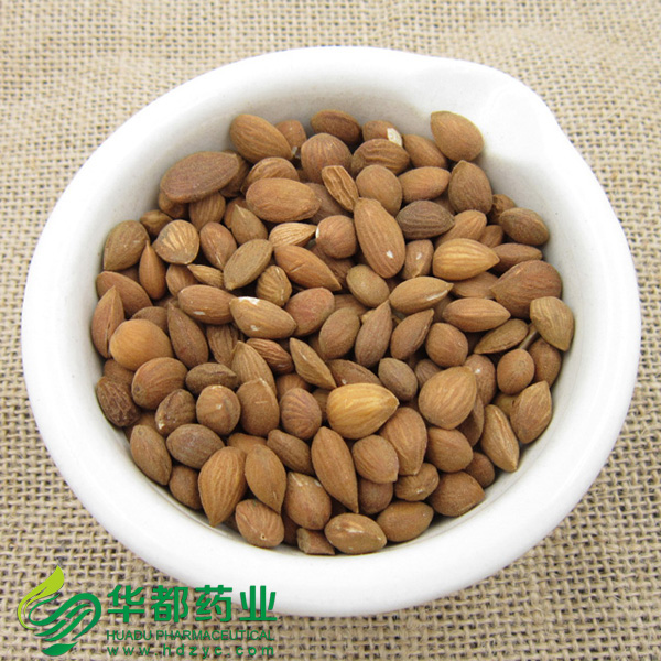 Apricot Seed