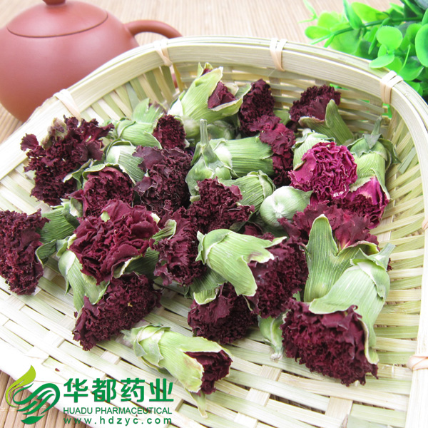 Carnation