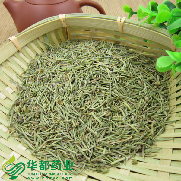Herb of Rosemary (2).jpg