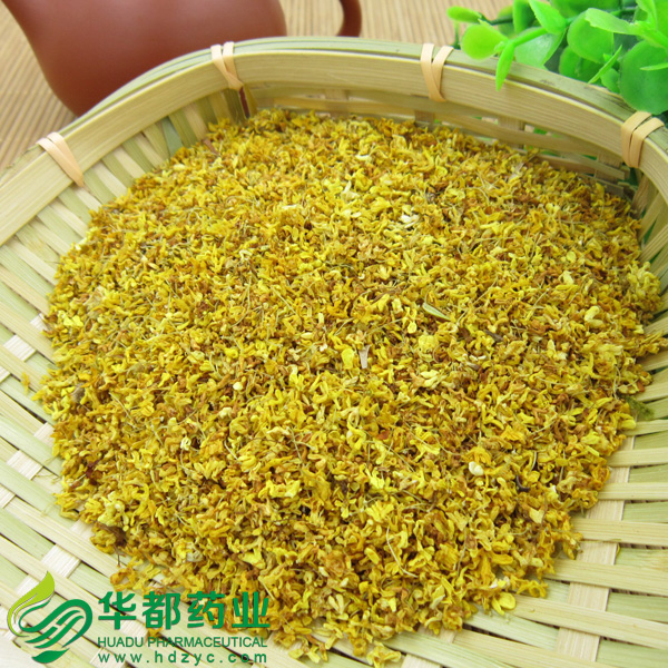 桂花2.jpg