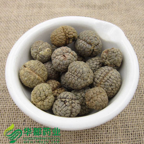 草豆蔻2tl-006
