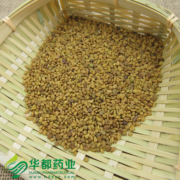 Seed of Common Fenugreek