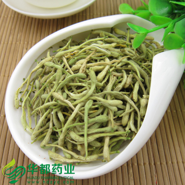 金银花1