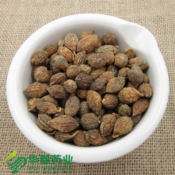 Alpinia Fruits (2)
