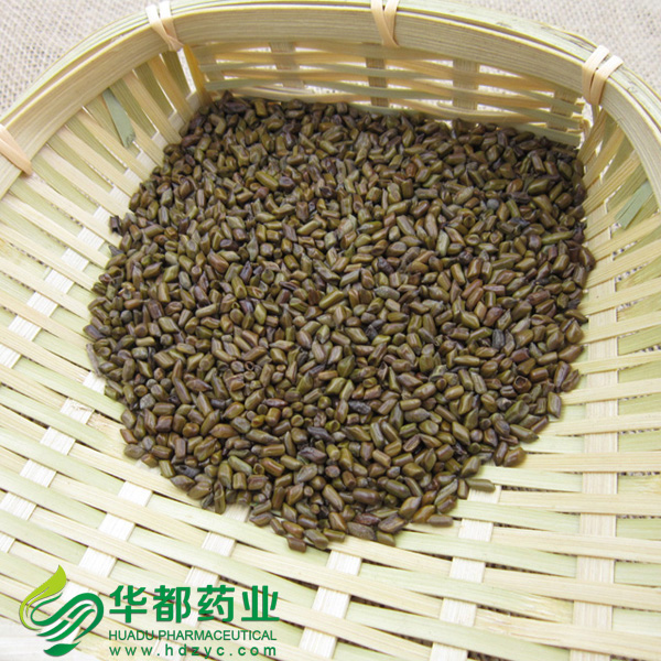 Sicklepod Seed.jpg