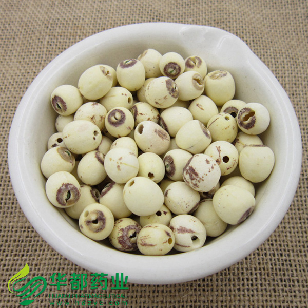 Lotus Seed.jpg