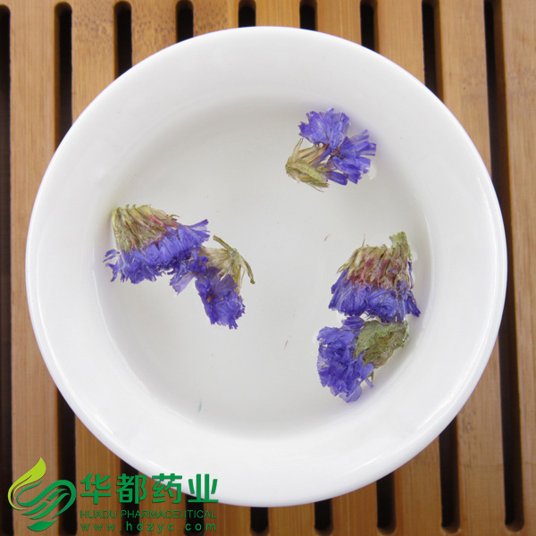 Forget Me Not (3)