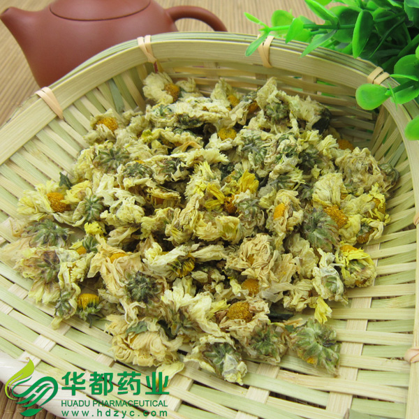 杭白菊2