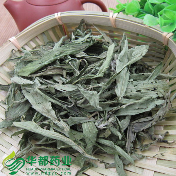 Sweet Stevia (2).jpg
