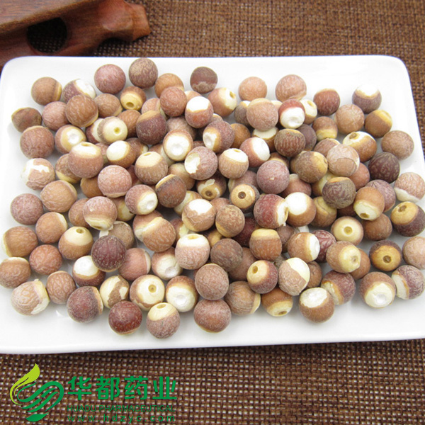 Gordon Euryale Seed