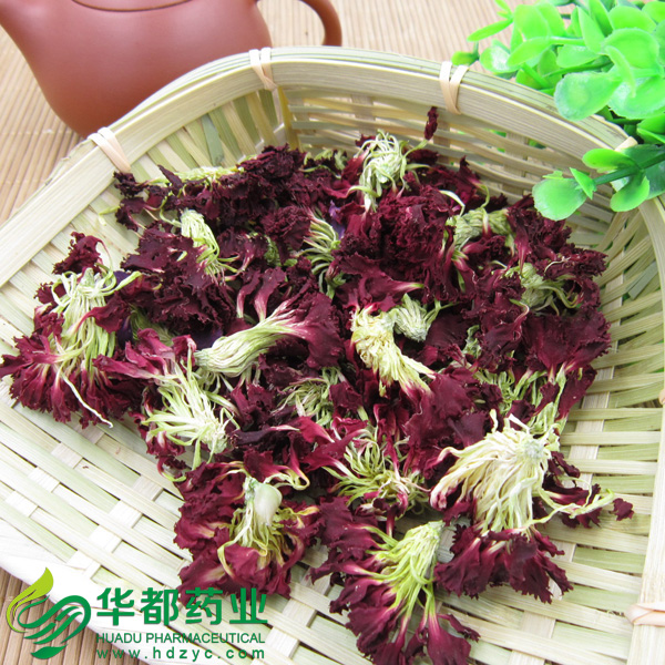 Carnation