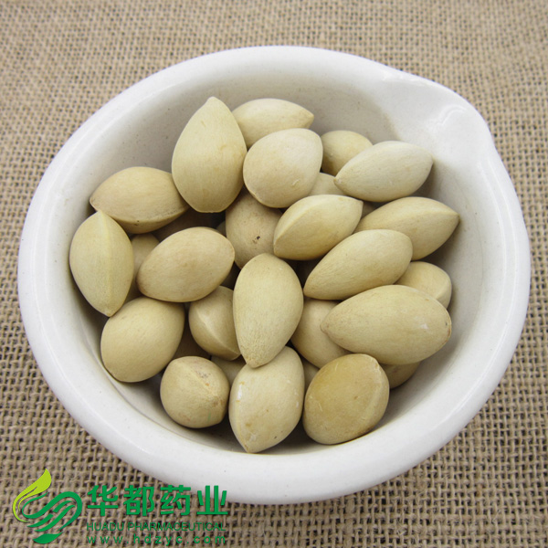 Semen Ginkgo (2)