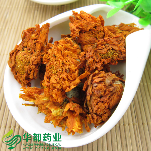 万寿菊1.jpg
