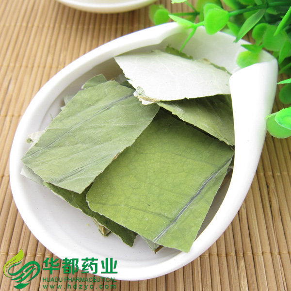 Lotus Leaf.jpg