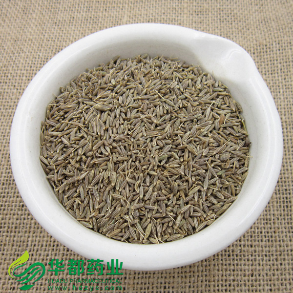 Cumin (2).jpg