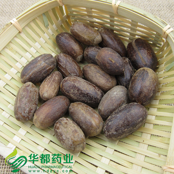 Rhizoma Chiuanxiong.jpg