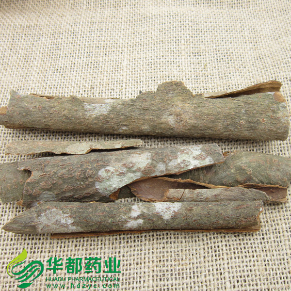 肉桂2tl-018.jpg