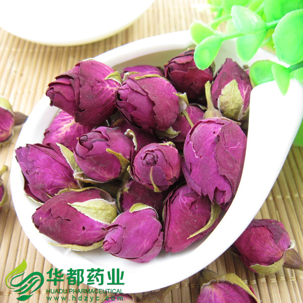 Chinese Rose 