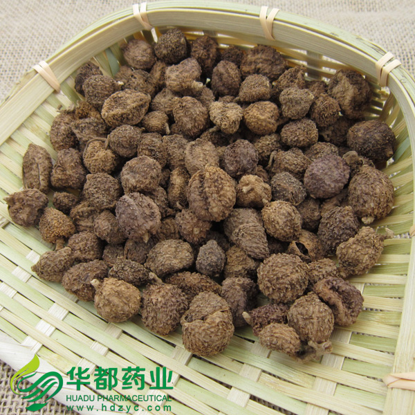Fructus Amomi