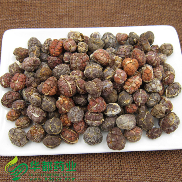 Cardamom Seed