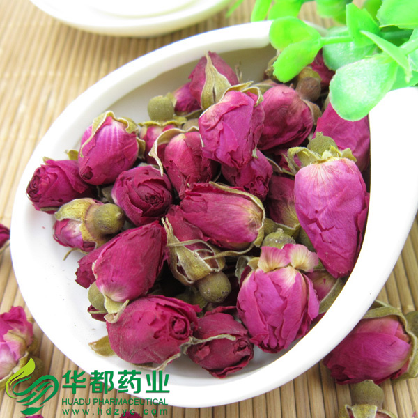 Rosebud (6).jpg