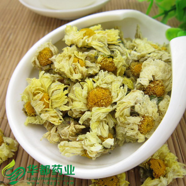 White Chrysanthemum