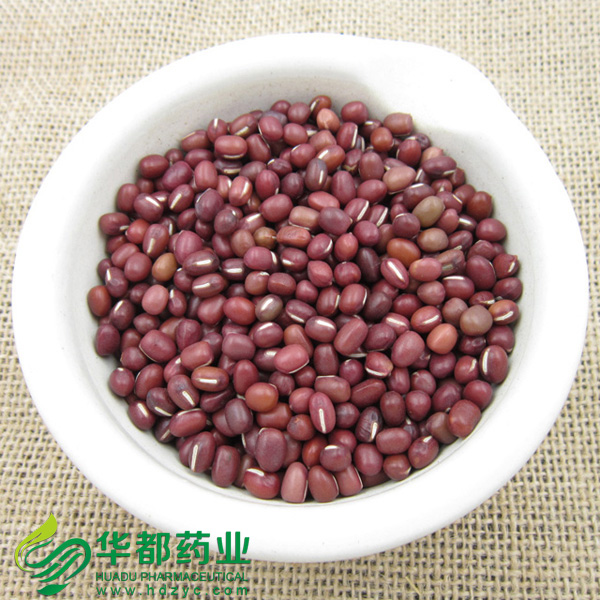 Azuki Bean.jpg