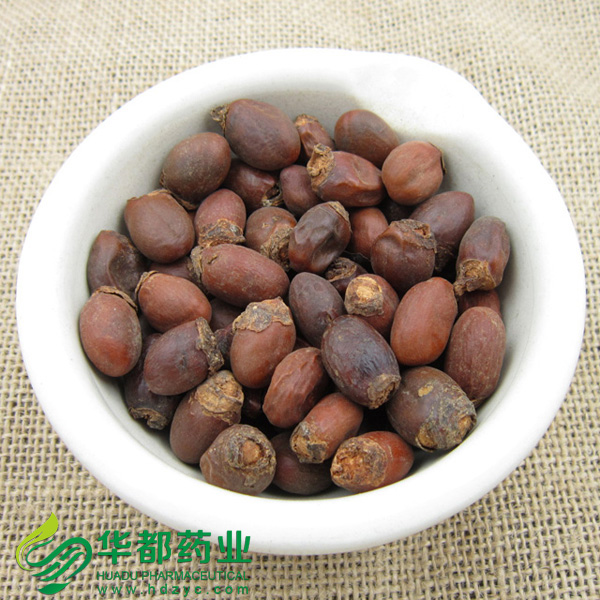 荔枝核