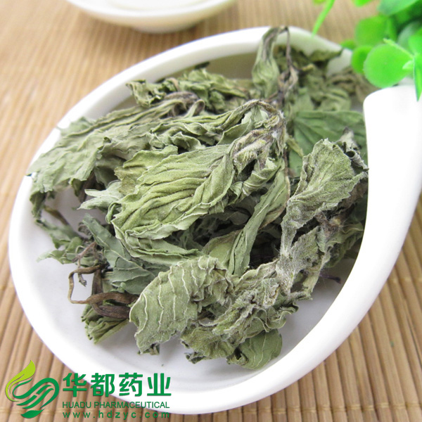 薄荷1.jpg