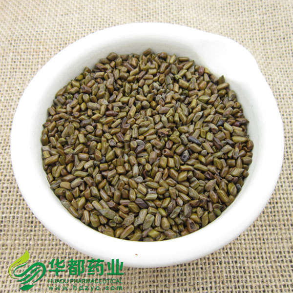 Sicklepod Seed (2)