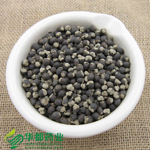 Simpleleaf Shrub Chastetree Fruit