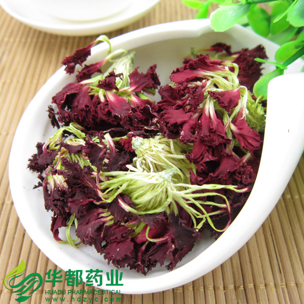 Carnation