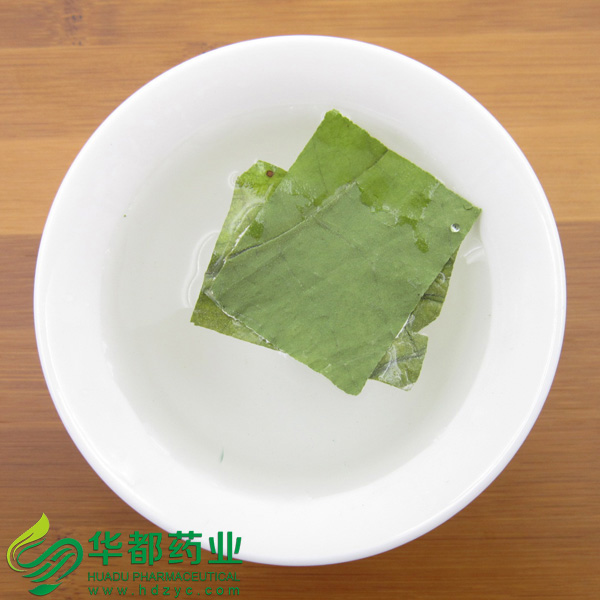 Lotus Leaf