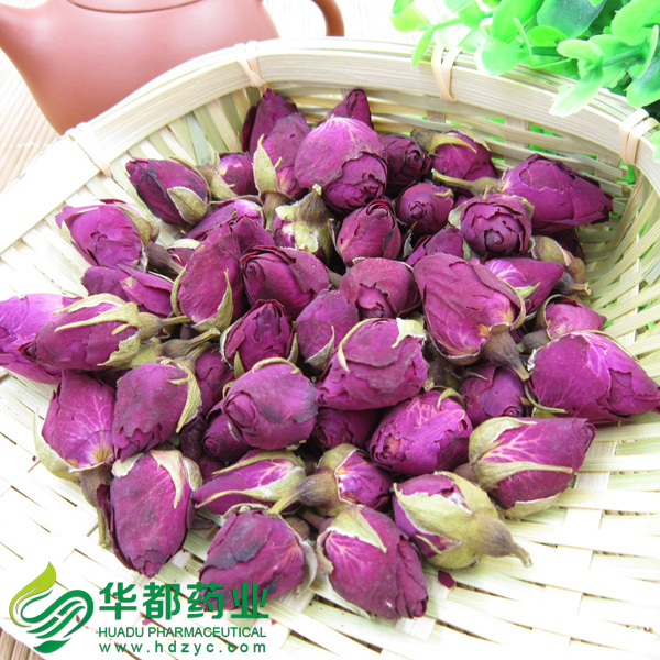 Chinese Rose 